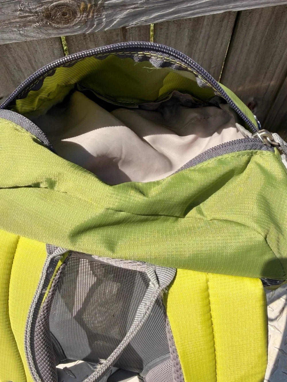 Deuter Women's Lime Green Daypack Backpack